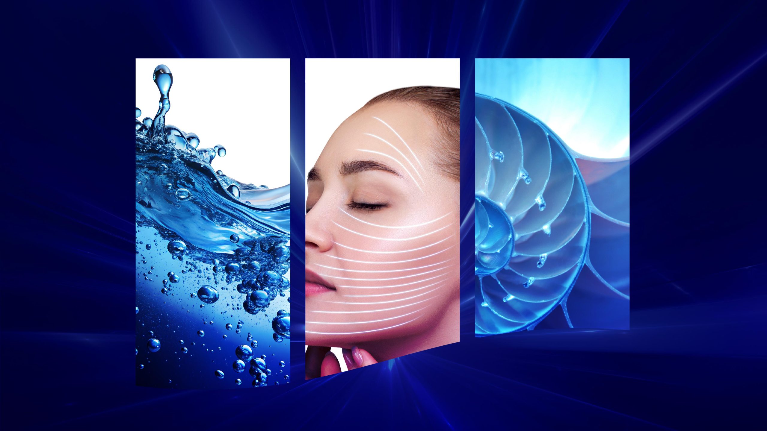 Innovation Beauty_Credential-02
