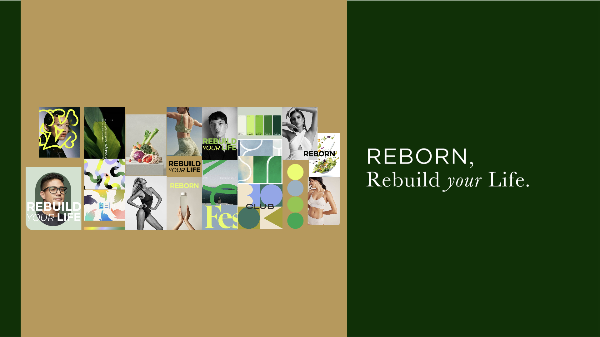 P03 REdesign LOGO Reborn 2024.001