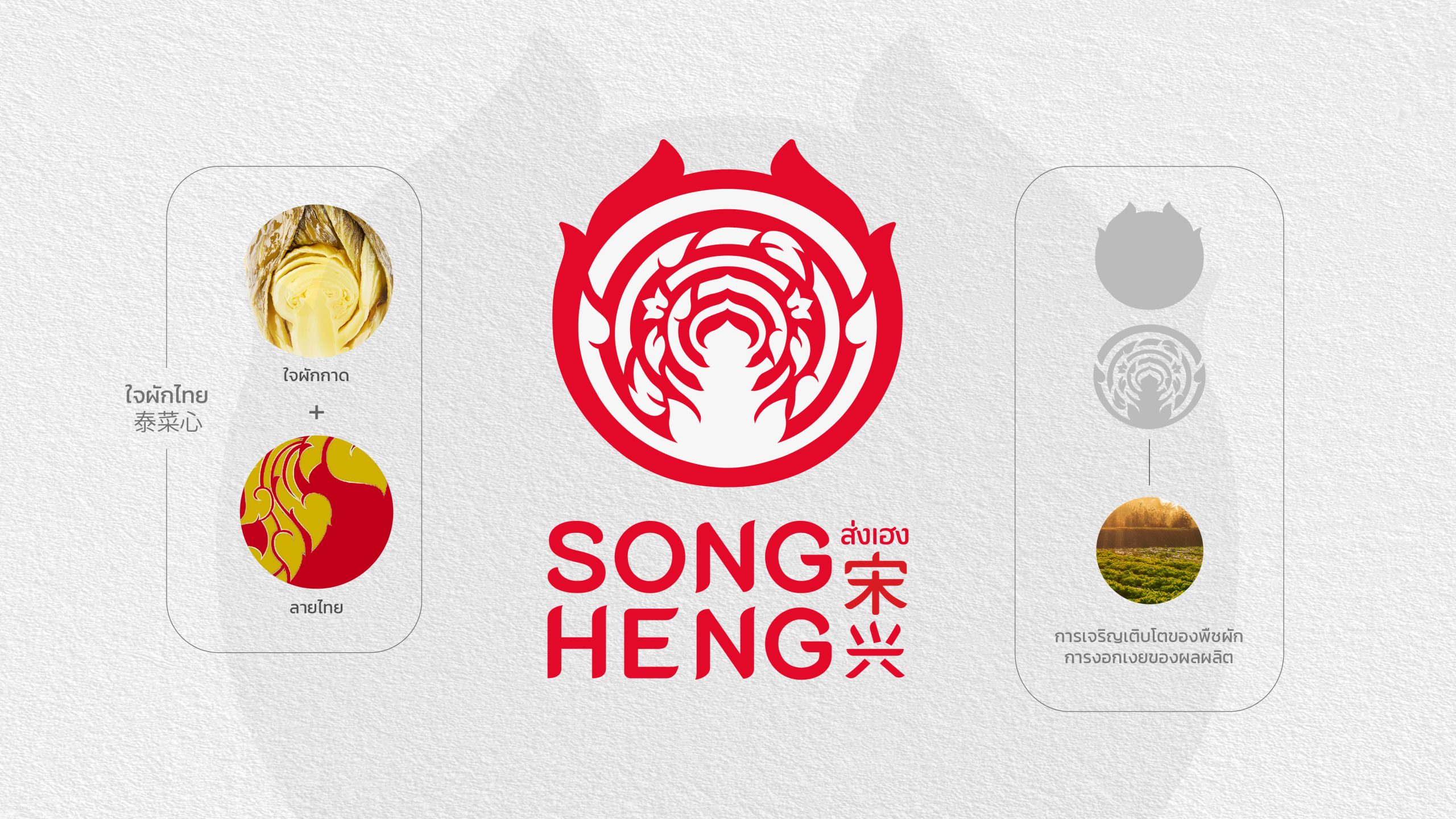 SongHeng_Credential-05